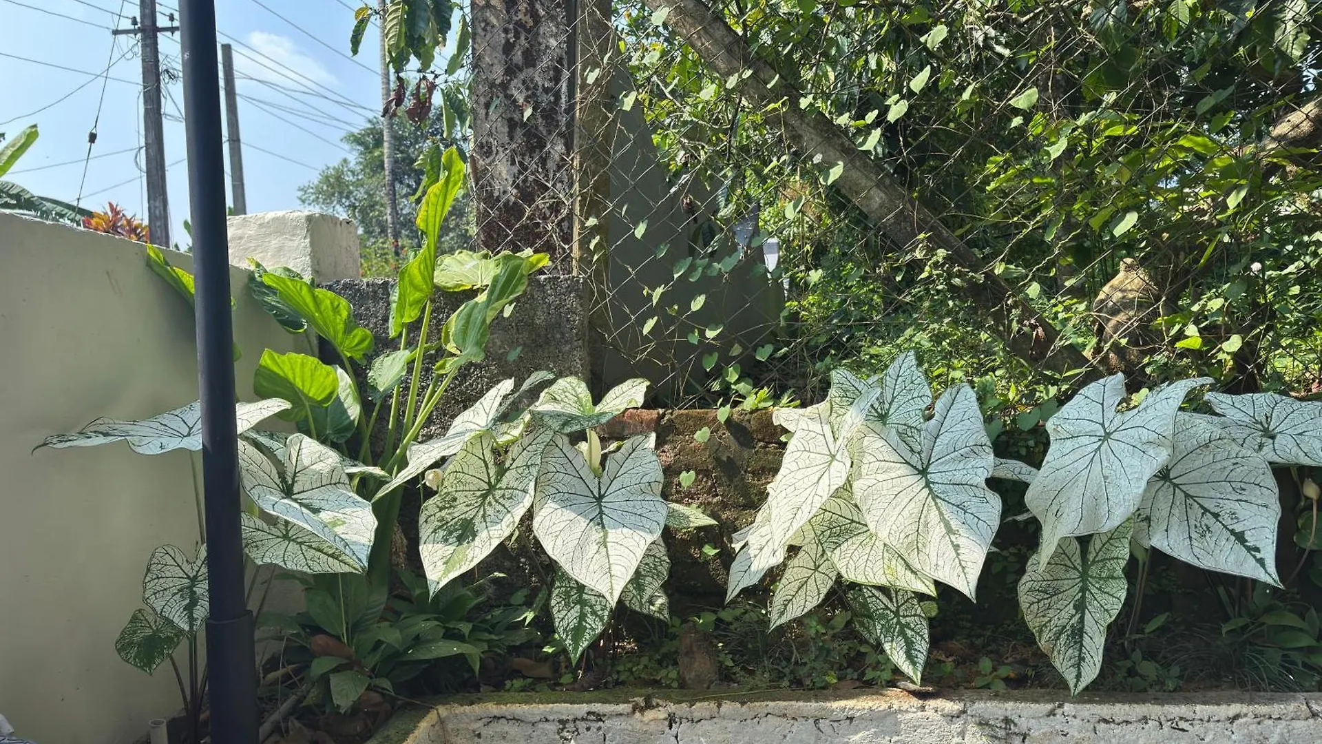 Prauvilla Homestay Padinjarathara India