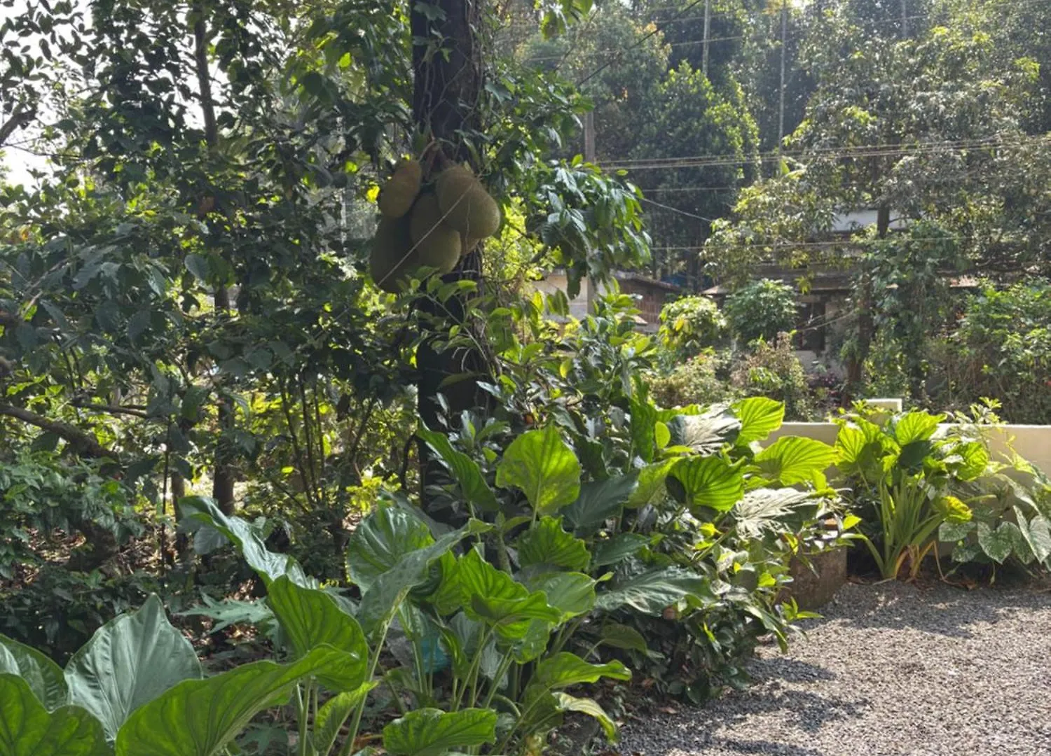 Prauvilla Homestay Padinjarathara 0*,