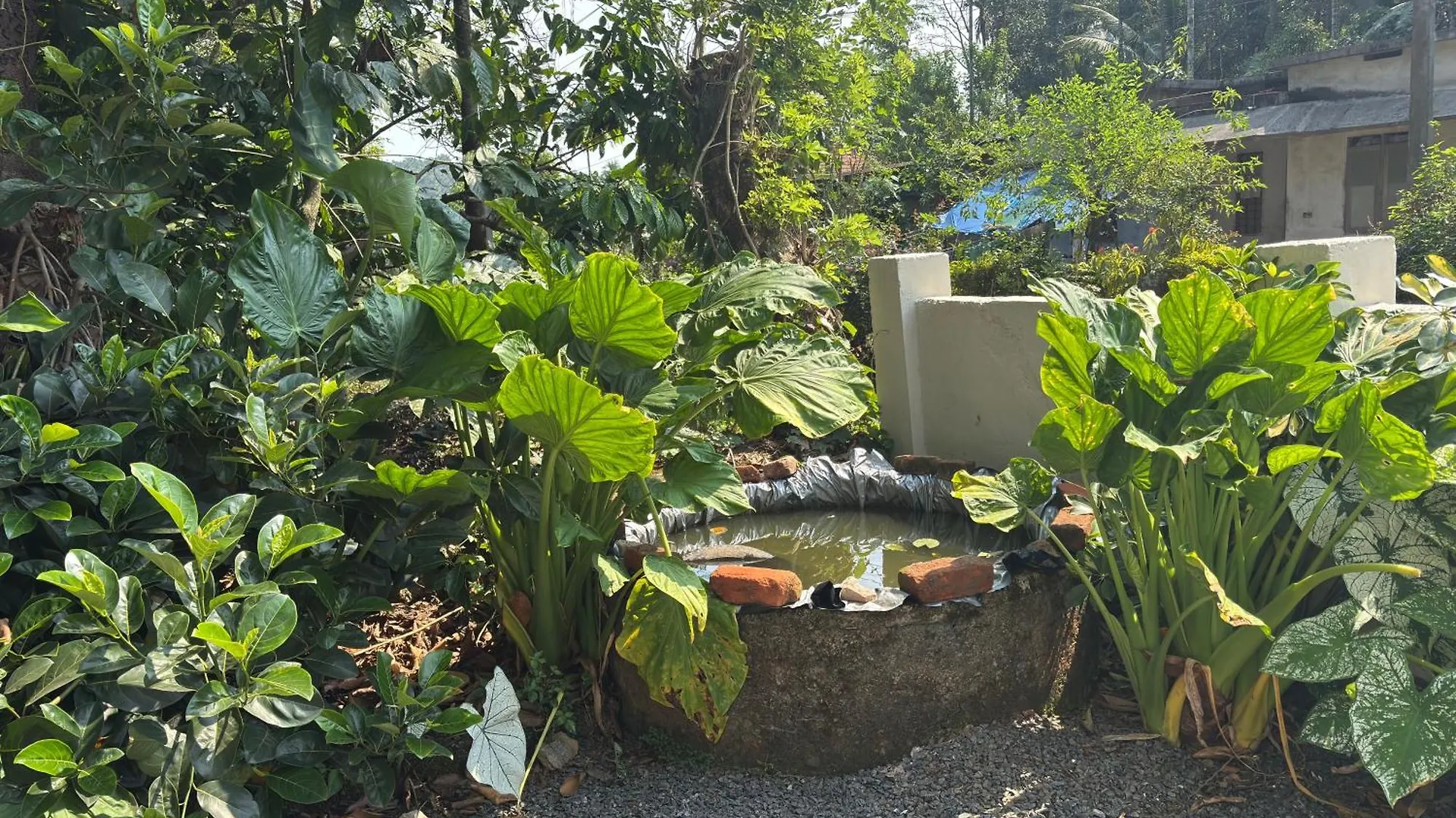 Holiday home Prauvilla Homestay Padinjarathara India