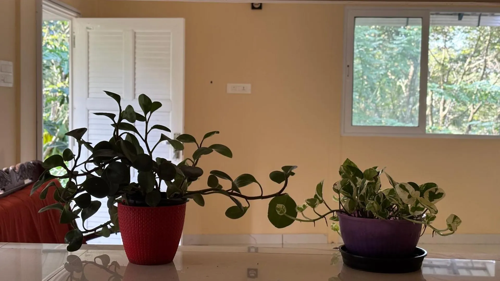Dom wakacyjny Prauvilla Homestay Padinjarathara