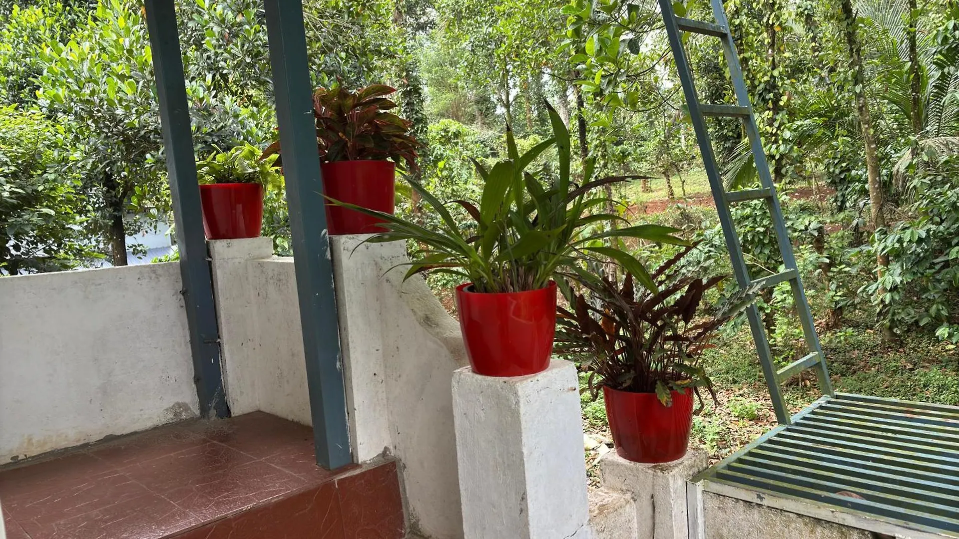 Dom wakacyjny Prauvilla Homestay Padinjarathara